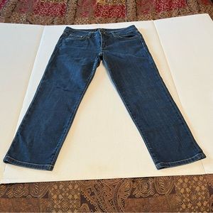 Joe's Jeans Women SZ 29 Blue Denim Jean Dark Wash Ankle Visionnaire Crop Stretch